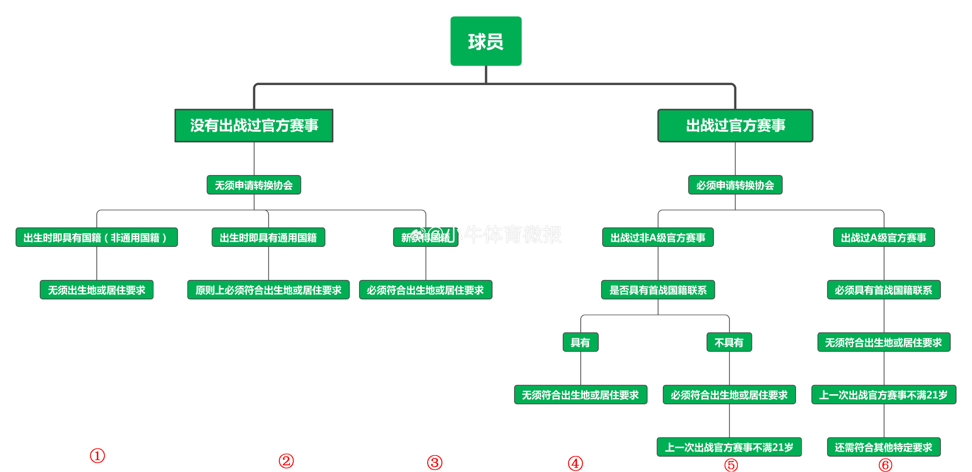 六合神算子传奇三肖